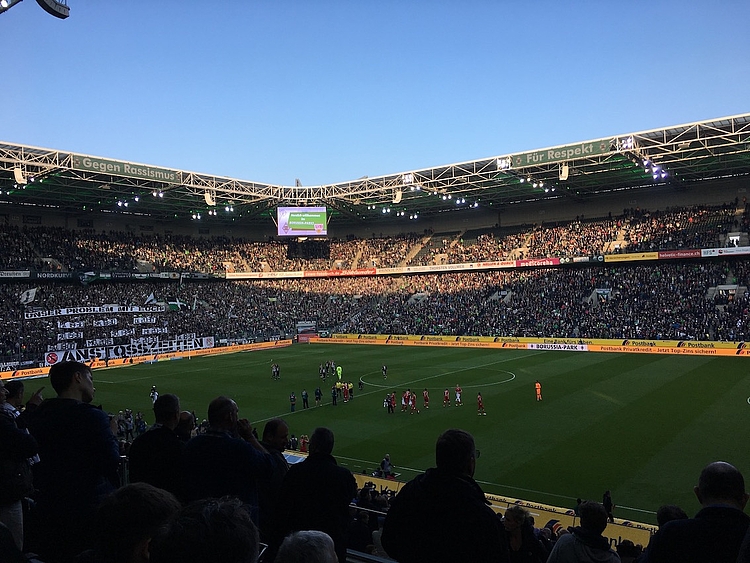 teaser_bundesliga