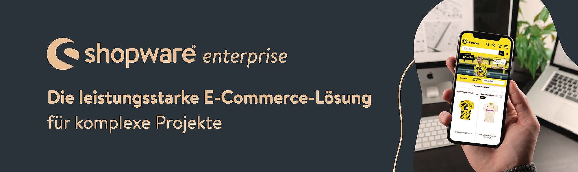 grafik_shopware